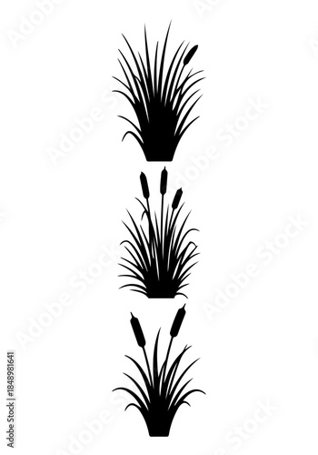 Grass & reed silhouettes set, reed grass set vector, Creative black & grass vector art