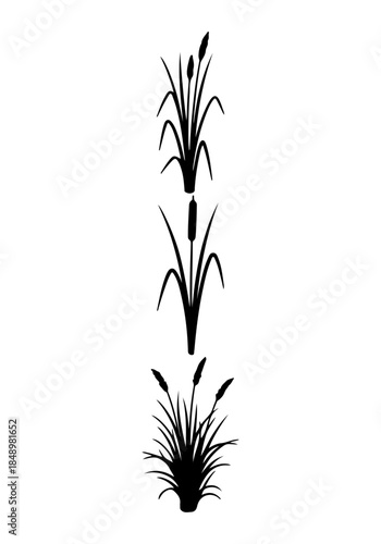Grass & reed silhouettes set, reed grass set vector, Creative black & grass vector art