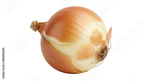Isolated golden brown onion in its papery skin for flavoring soups and salads, healthy food
