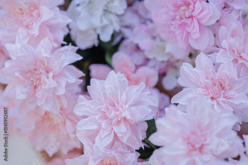 Delicate Pink and White Flowers in Soft Blossom Arrangement for Elegant Floral Decoration