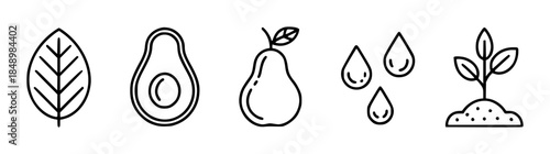 Black of leaf avocado pear droplets and sapling symbol