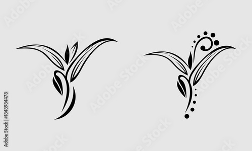 beauty leaf flower