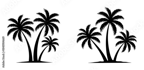 Black silhouette palm trees white background