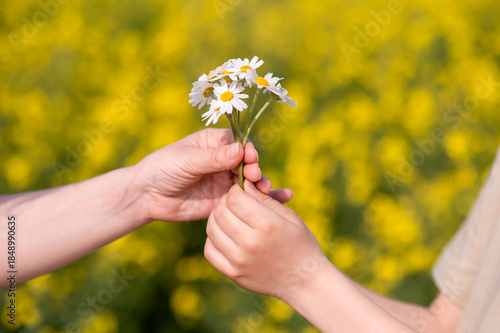 Two hands exchanging a small bouquet of daisies in a blooming summer field, symbolizing love, care, connection and tenderness, perfect for Mother's Day themes