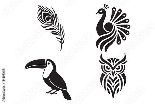 This image displays four stylized black silhouettes of birds and a feather, arranged on a white background in a two-by-two grid. The illustrations feature a detailed peacock feather and a fanned