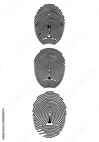 Fingerprint vector, various fingerprint silhouette, human fingerprint clipart, fingerprint art