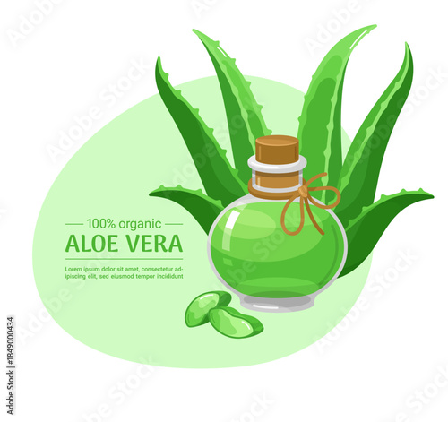 An illustration of the medicinal aloe vera plant with its juice in a bottle and succulent cut stems that highlight the plant s medicinal properties and its organic nature.