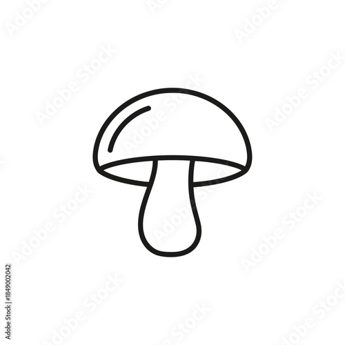 Minimalist Mushroom Line Drawing for Nature and Fungi Themes
