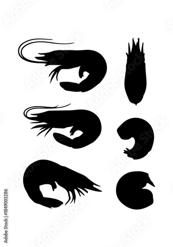 Lobster shrimp animal vector, vector of shrimp collection, silhouette of lobster
