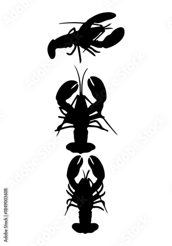 Lobster vector, vector of lobster animal collection, silhouette of lobster icon
