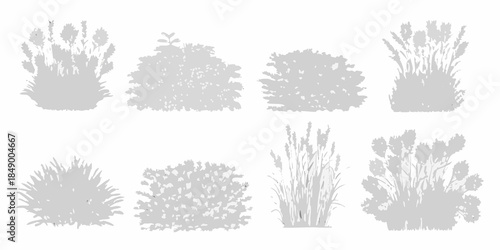 A collection of diverse shrub silhouettes against a plain white background