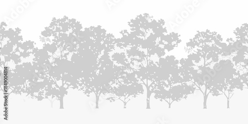 A grayscale silhouette of numerous trees against a bright blurred background