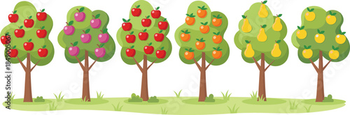 Fruit tree orchard vector illustration featuring apple, orange, pear, and plum trees, colorful garden landscape for agriculture and nature designs