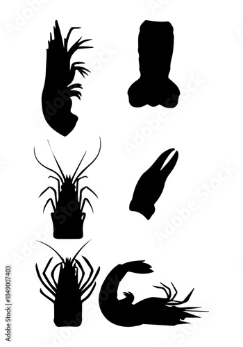 Lobster vector, animal body part silhouette, lobster art, lobster animal vector design, lobster silhouette isolated on white