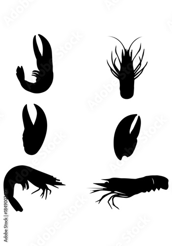 Lobster vector, animal body part silhouette, lobster art, lobster animal vector design, lobster silhouette isolated on white