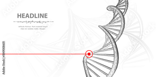 DNA. Abstract 3d polygonal wireframe dna molecule helix spiral on white background. Medical science, genetic biotechnology, chemistry biology, gene cell concept vector illustration or background


