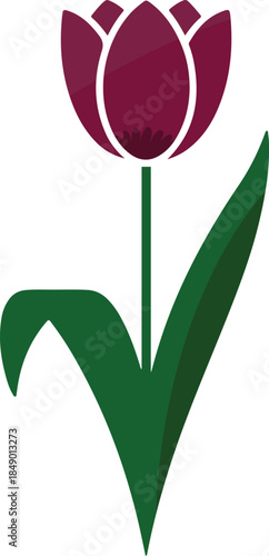 Flower isolated on transparent background