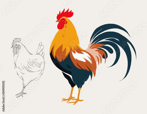 rooster; chicken; hen in illustration in brush stroke painting,