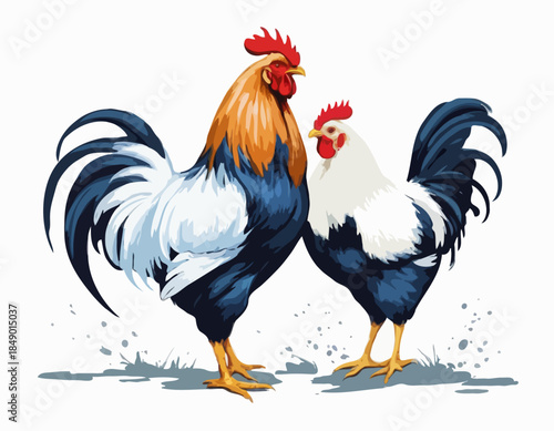 rooster; chicken; hen in illustration in brush stroke painting,