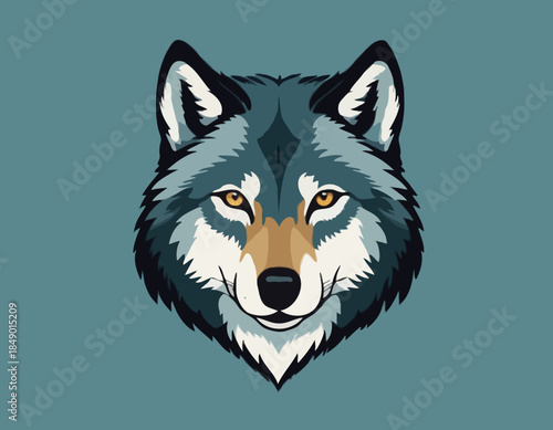 wolf head, animal illustration