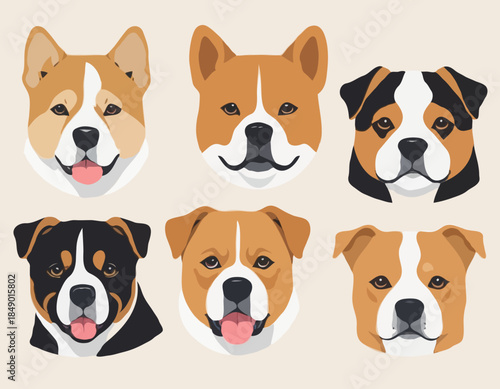 dog, shiba, retriever, bulldog, head, animal illustration