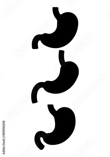 Kidney vector, vector of kidney art, kidney silhouette, creative kidney human organs design