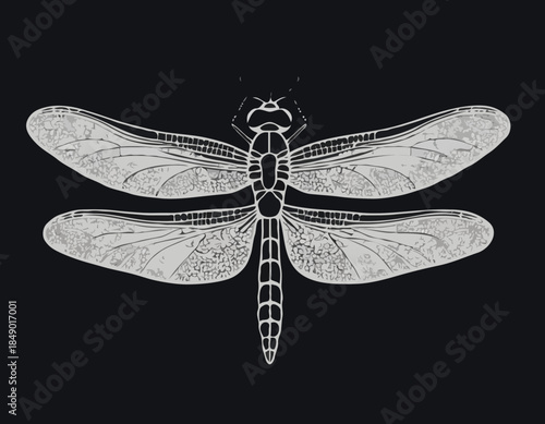 Elegant dragonfly illustration in black and white woodcut style