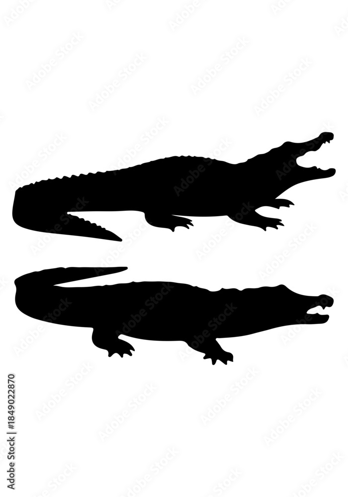 Naklejka premium Crocodile vector, crocodile silhouette illustration, collection vector of crocodile, crocodile isolated on white 