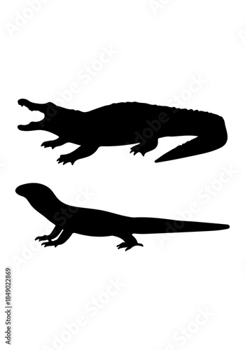 Crocodile vector, crocodile silhouette illustration, collection vector of crocodile, crocodile isolated on white 