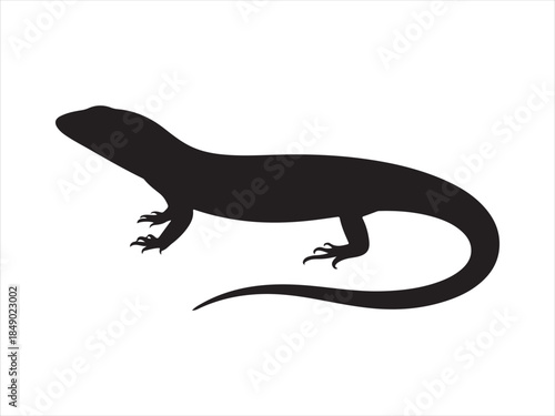 Variant style of lizard silhouette vector, flat lizard vector illustration, Sand lizard silhouette vector isolated flat illustration