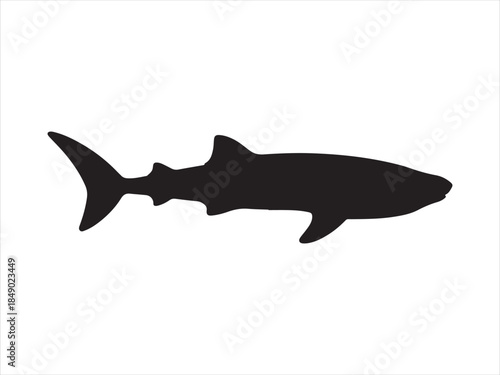 shark silhouette vector, silhouette of a shark vector illustration