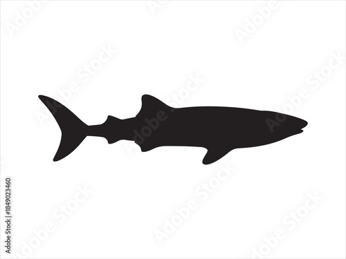 shark silhouette vector, silhouette of a shark vector illustration.