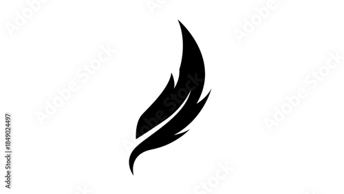 vector illustration of a feather