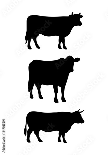 Cow animal vector, cow creative art, cow silhouettes, cow vector design isolated