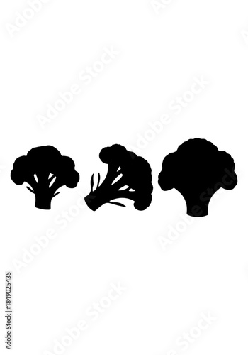 Broccoli vector, broccoli creative art, broccoli silhouettes, broccoli vector design isolated