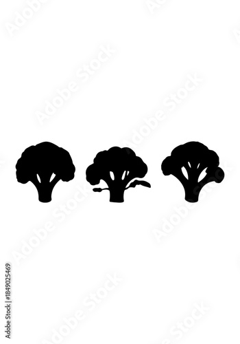 Broccoli vector, broccoli creative art, broccoli silhouettes, broccoli vector design isolated
