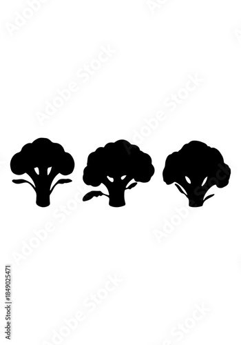 Broccoli vector, broccoli creative art, broccoli silhouettes, broccoli vector design isolated