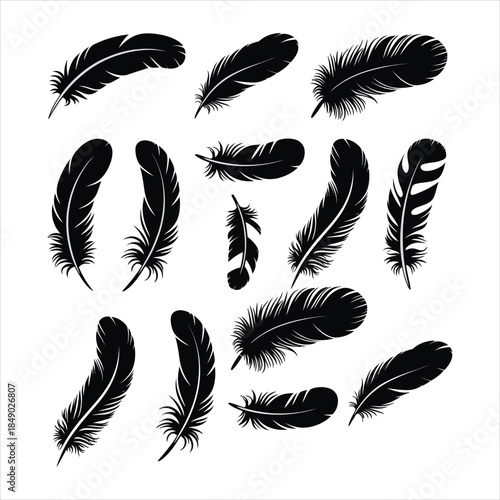 Diverse Black Feather Silhouettes Set, Realistic Bird Feathers Vector Illustration