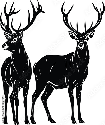 Majestic deer silhouettes with antlers standing together illustrating wildlife nature, forest animals, hunting symbolism, and elegant animal illustration