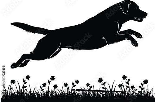 Jumping dog silhouette illustration showing energetic canine leaping over grass in outdoor nature scene black and white vector design
