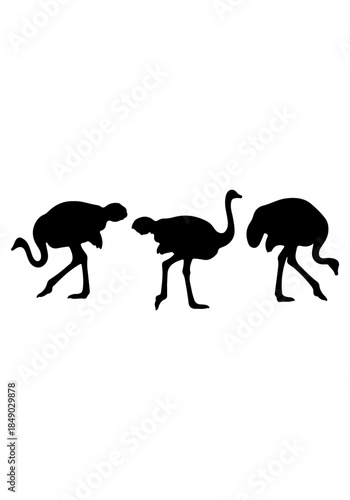 Ostrich bird silhouette vector, Set of ostrich collection vector art, ostrich animal isolated on white background