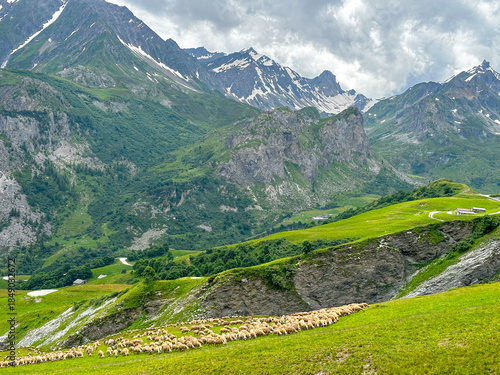 Overcast Summer Day Over the Mountain Valley and Herd of Sheep in France