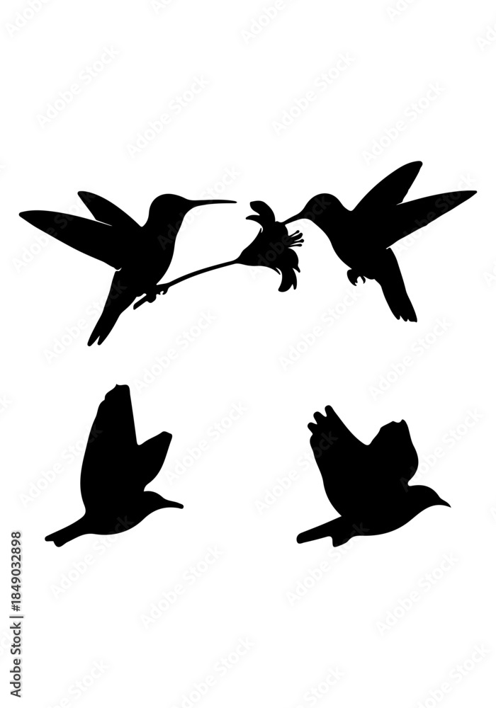 Fototapeta premium Bird flying black silhouette, bird flying vector art, vector of hummingbird collection isolated on white background