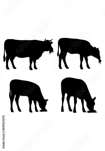 Cow black silhouette, cow animal vector art, vector of cow collection isolated on white background