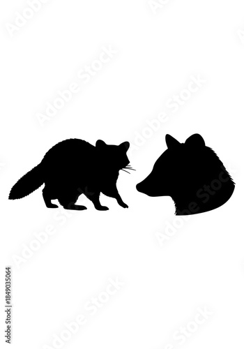 A set of raccoon art, raccoon icon vector art design, raccoon animal vector illustration