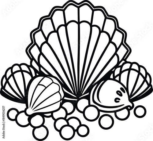 Sea Shell Line Art Vector - Scallop and Pearl Clam Illustration