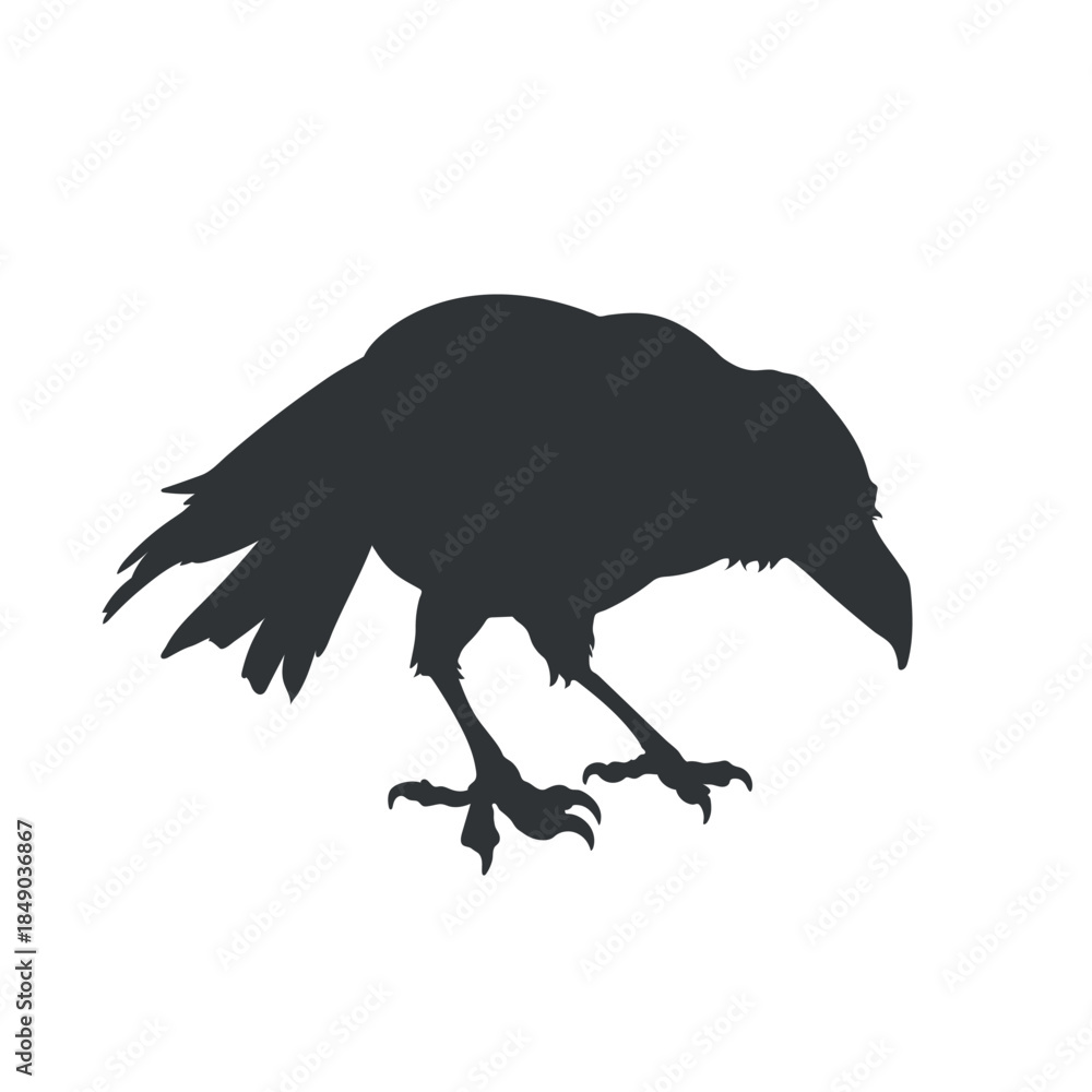 Obraz premium Silhouettes of raven. Crow on the ground art. Black icon of isolated bird. Gothic symbol. Drawing for tattoo. Forest wildlife