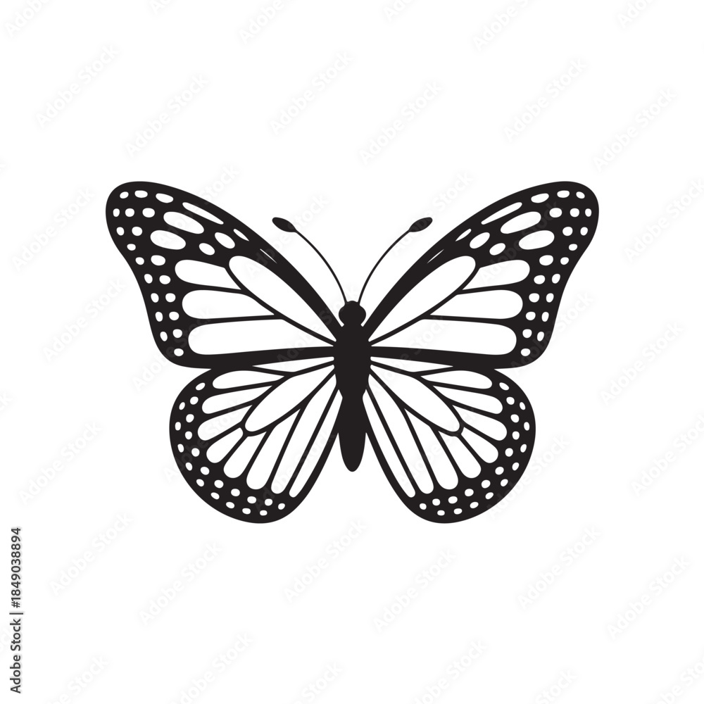 Fototapeta premium Butterfly line art (2).eps