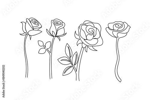 Rose flowers and dinner table setting in one line style