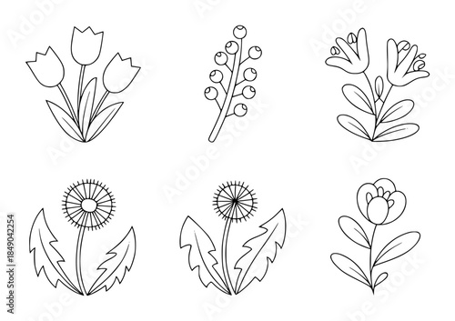 Black and white flowers in minimal outline style isolated white background tulips dandelions